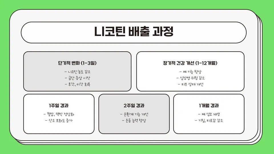 니코틴 배출 이미지 6
