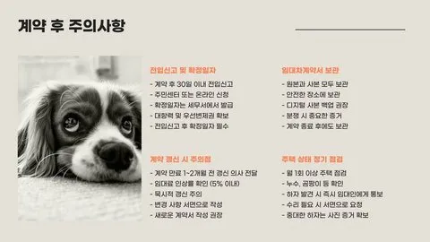 전세계약 주의사항 이미지 11