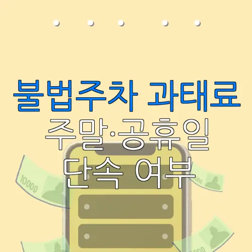 불법주차 과태료주말·공휴일단속 여부