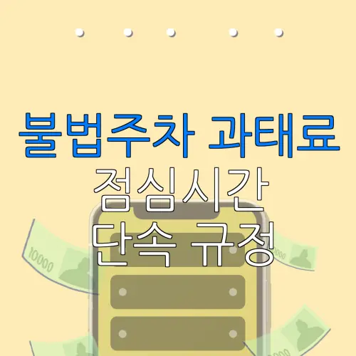 불법주차 과태료점심시간단속 규정
