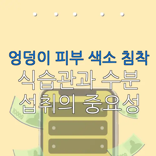 엉덩이 피부 색소 침착식습관과 수분섭취의 중요성
